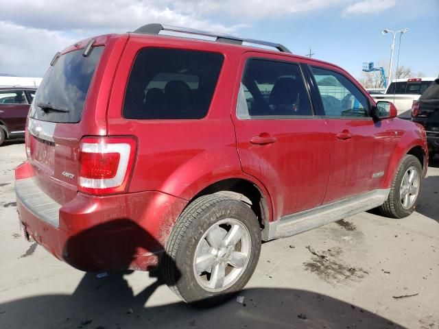 2008 Ford Escape Limited