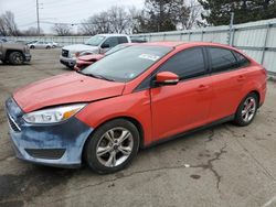 Ford Focus salvage cars for sale: 2016 Ford Focus SE