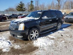 2008 Cadillac Escalade Luxury for sale in Davison, MI