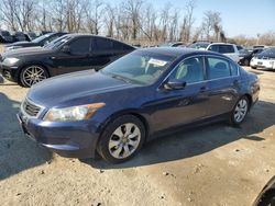 Honda salvage cars for sale: 2009 Honda Accord EX