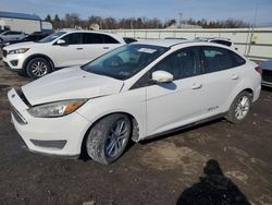 Ford Focus salvage cars for sale: 2016 Ford Focus SE