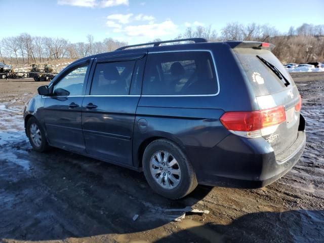 2010 Honda Odyssey EXL