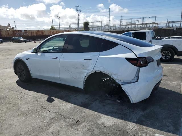 2025 Tesla Model Y