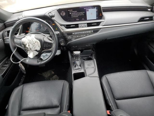 2019 Lexus ES 350