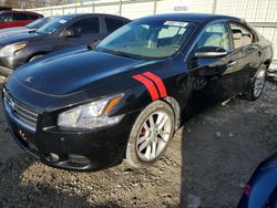 Nissan salvage cars for sale: 2009 Nissan Maxima S