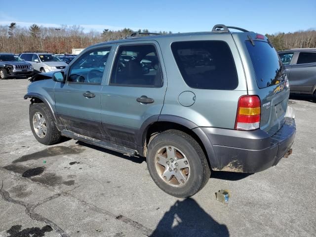 2005 Ford Escape XLT