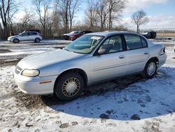 Chevrolet Malibu salvage cars for sale: 2004 Chevrolet Classic