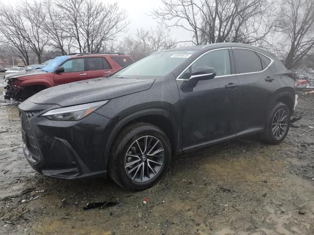 2025 Lexus NX 350 Base