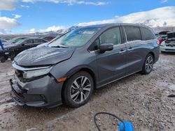 Honda Odyssey salvage cars for sale: 2021 Honda Odyssey Touring