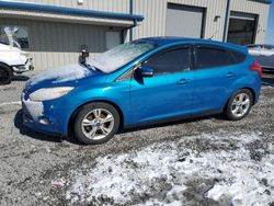 Ford Focus salvage cars for sale: 2014 Ford Focus SE
