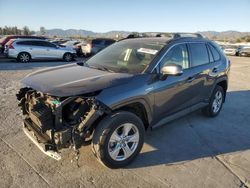 Salvage cars for sale from Copart Sun Valley, CA: 2019 Toyota Rav4 XLE