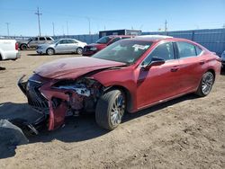 Lexus es300 salvage cars for sale: 2024 Lexus ES 300H Base