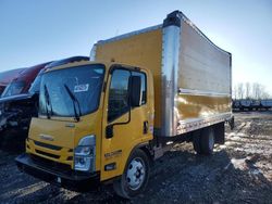 Isuzu npr hd salvage cars for sale: 2023 Isuzu NPR HD