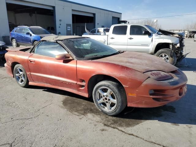 2002 Pontiac Firebird Trans AM