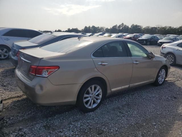 2010 Lexus ES 350