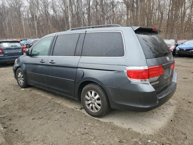 2010 Honda Odyssey EXL