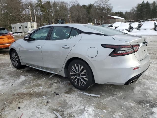 2023 Nissan Maxima SV