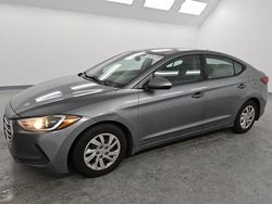 Hyundai Elantra salvage cars for sale: 2017 Hyundai Elantra SE