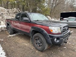 Toyota Tacoma Vehiculos salvage en venta: 2009 Toyota Tacoma Access Cab