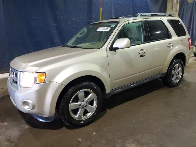 2011 Ford Escape Limited