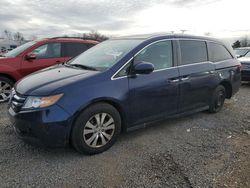 Honda Odyssey salvage cars for sale: 2016 Honda Odyssey SE