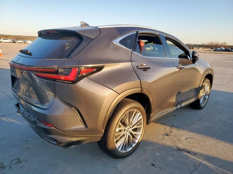 2023 Lexus NX 350