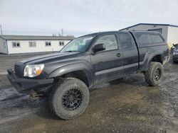 Toyota salvage cars for sale: 2005 Toyota Tacoma Access Cab