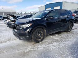 2019 Honda CR-V LX for sale in Elmsdale, NS