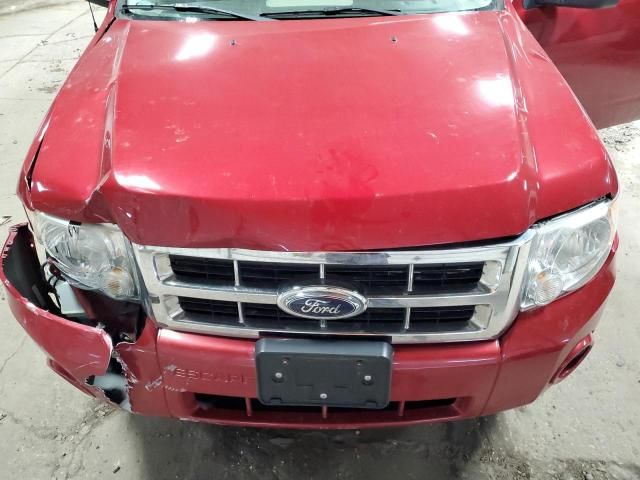 2009 Ford Escape XLS