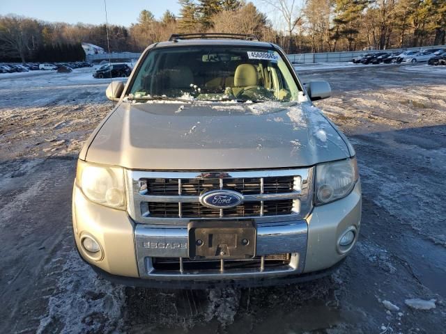 2010 Ford Escape Limited