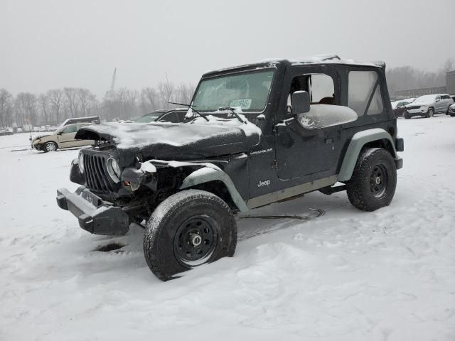 2002 Jeep Wrangler / TJ X