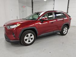 Salvage cars for sale from Copart Glassboro, NJ: 2019 Toyota Rav4 XLE