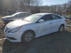 Hyundai Sonata salvage cars for sale: 2014 Hyundai Sonata GLS