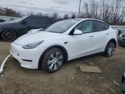 Tesla Model y salvage cars for sale: 2023 Tesla Model Y