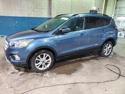 Ford Escape salvage cars for sale: 2018 Ford Escape SE