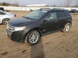 Ford Edge salvage cars for sale: 2013 Ford Edge SE