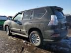 2017 Lexus GX 460