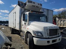 Hino 338 Refrigerated Truck salvage cars for sale: 2019 Hino 338 Refrigerated Truck
