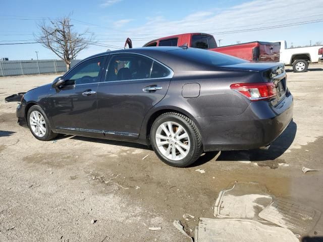 2010 Lexus ES 350