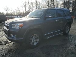 Toyota 4runner salvage cars for sale: 2012 Toyota 4runner SR5