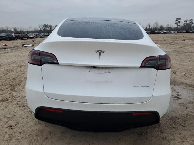 2025 Tesla Model Y