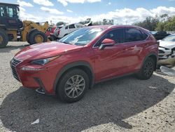 Lexus nx 300 Base salvage cars for sale: 2019 Lexus NX 300 Base