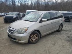 Honda Odyssey salvage cars for sale: 2005 Honda Odyssey Touring