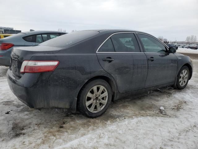 2009 Toyota Camry Hybrid