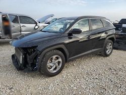 Hyundai salvage cars for sale: 2024 Hyundai Tucson SEL