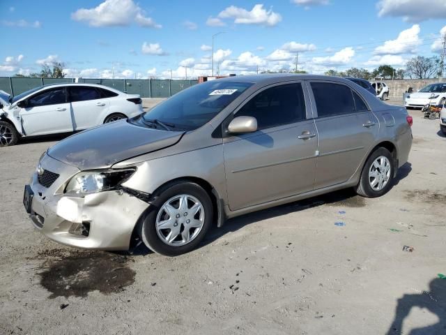 2010 Toyota Corolla Base