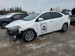 Toyota salvage cars for sale: 2019 Toyota Corolla L