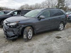 Toyota rav4 salvage cars for sale: 2019 Toyota Rav4 XLE