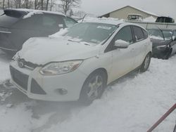 Ford salvage cars for sale: 2014 Ford Focus SE