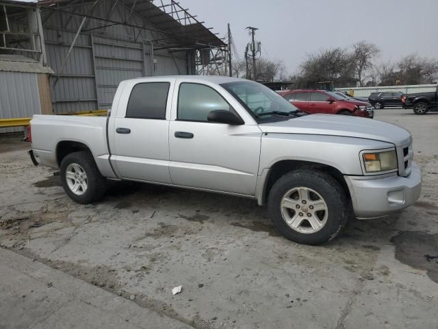 2011 Dodge Dakota SLT